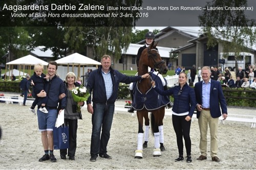 Zalene Blue Hors 2016